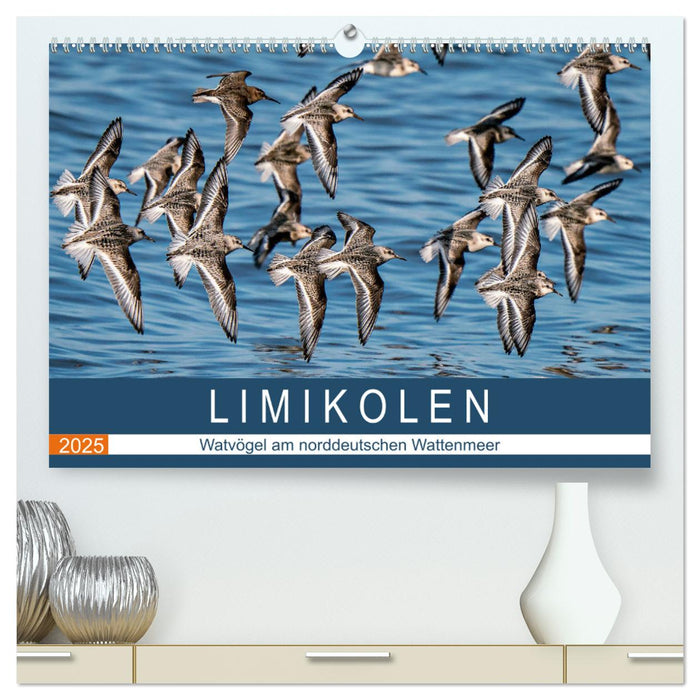 Limikolen - Watvögel am norddeutschen Wattenmeer (CALVENDO Premium Wandkalender 2025)