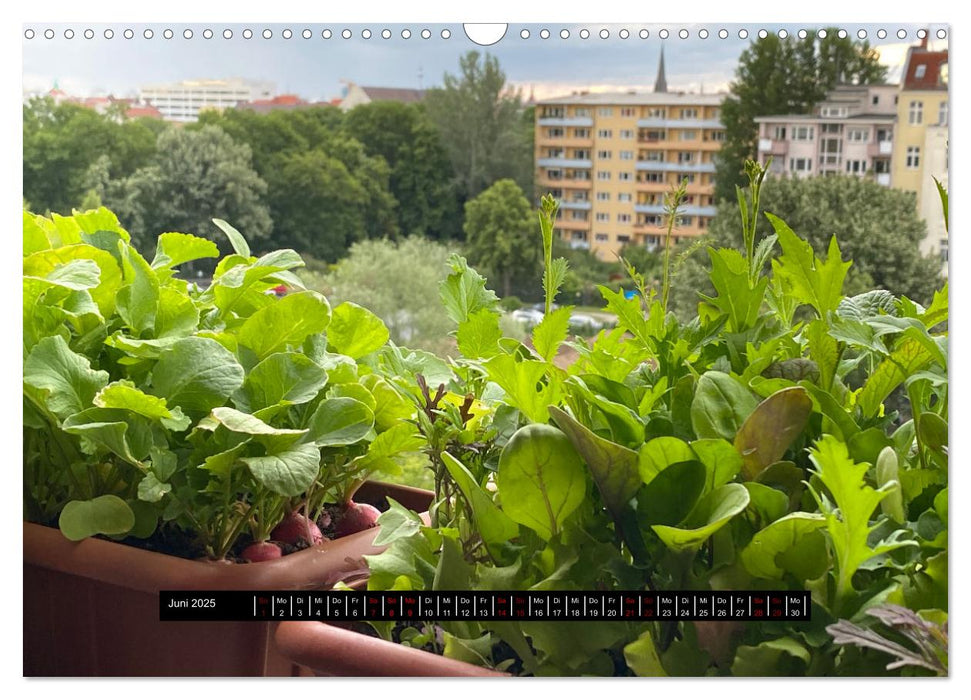 Mein Bio-Balkon: Ernteglück mitten in der Stadt (CALVENDO Wandkalender 2025)