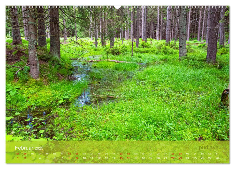 der elbestrom natur (CALVENDO Wandkalender 2025)