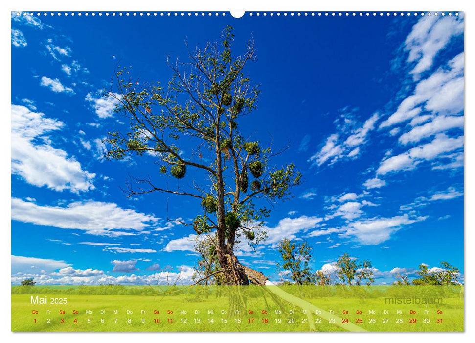 der elbestrom natur (CALVENDO Wandkalender 2025)