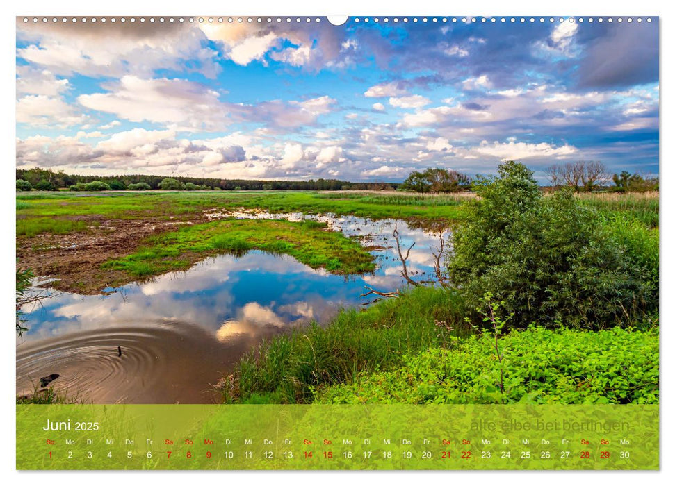 der elbestrom natur (CALVENDO Wandkalender 2025)