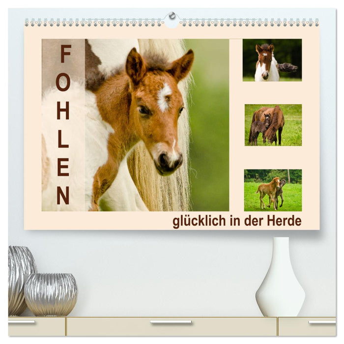 Fohlen, glücklich in der Herde (CALVENDO Premium Wandkalender 2025)