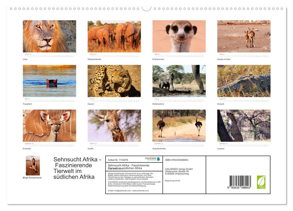 Sehnsucht Afrika - Faszinierende Tierwelt im südlichen Afrika (CALVENDO Premium Wandkalender 2025)