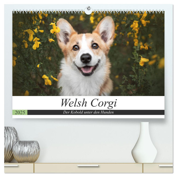 Welsh Corgi - Der Kobold unter den Hunden (CALVENDO Premium Wandkalender 2025)