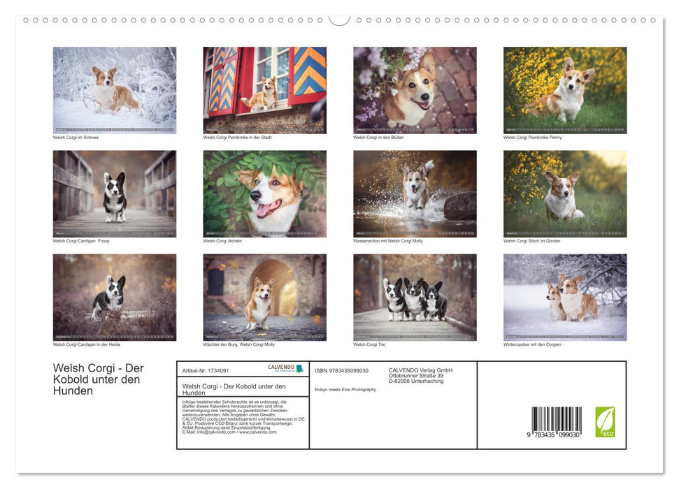 Welsh Corgi - Der Kobold unter den Hunden (CALVENDO Premium Wandkalender 2025)