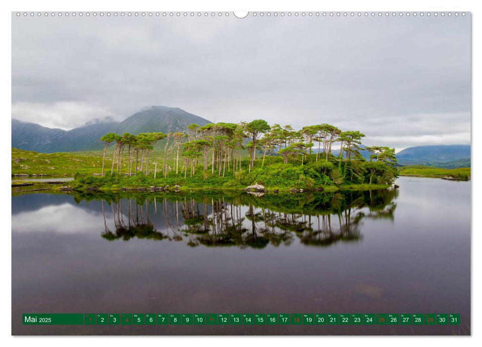 Irland. Insel zwischen den Meeren (CALVENDO Premium Wandkalender 2025)