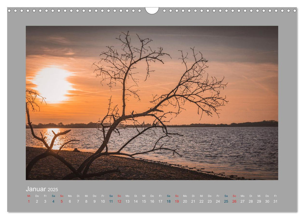 Ostseeweh (CALVENDO Wandkalender 2025)