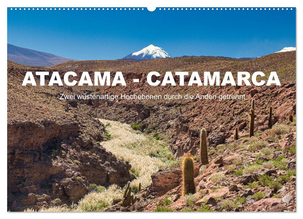 Atacama - Catamarca (CALVENDO Wandkalender 2025)