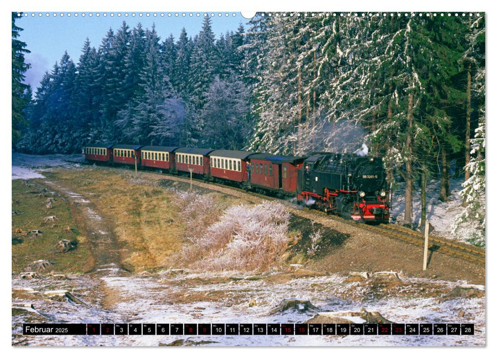 Harzer Schmalspurbahnen 1980er Jahre bis heute (CALVENDO Premium Wandkalender 2025)