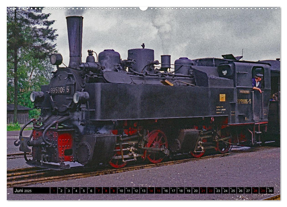 Harzer Schmalspurbahnen 1980er Jahre bis heute (CALVENDO Premium Wandkalender 2025)