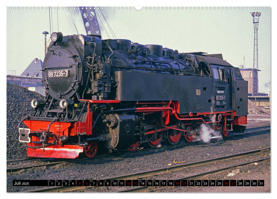 Harzer Schmalspurbahnen 1980er Jahre bis heute (CALVENDO Premium Wandkalender 2025)