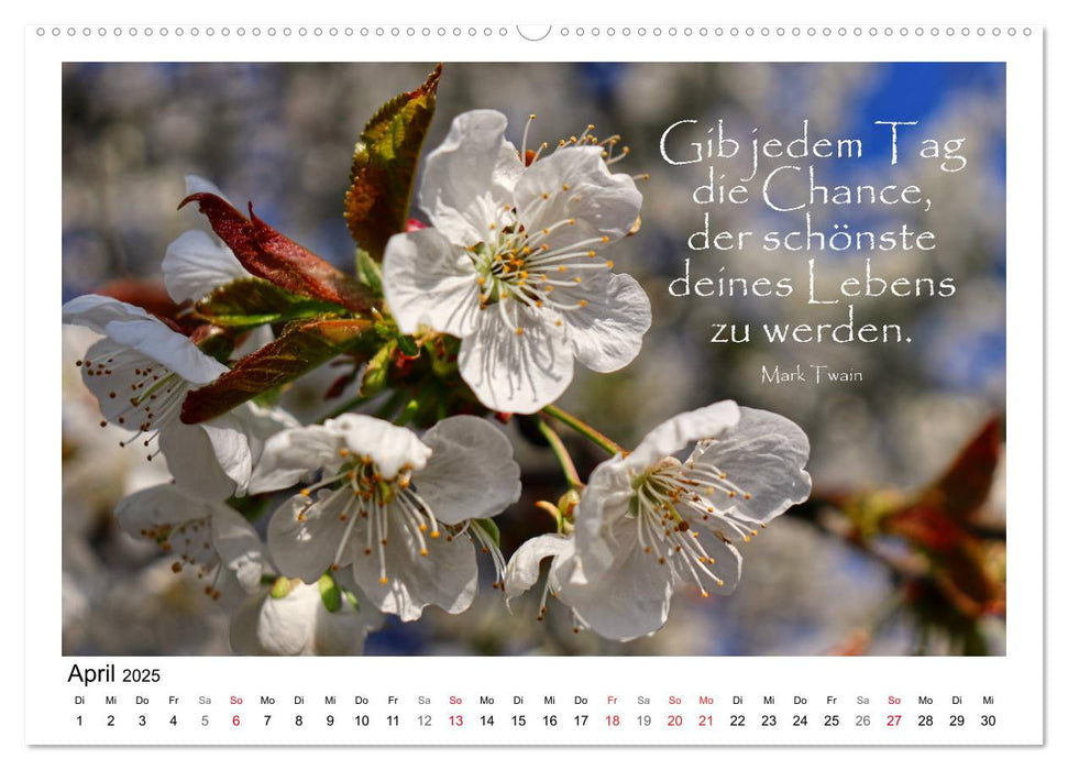 Weiße Blüten, weise Worte (CALVENDO Premium Wandkalender 2025)