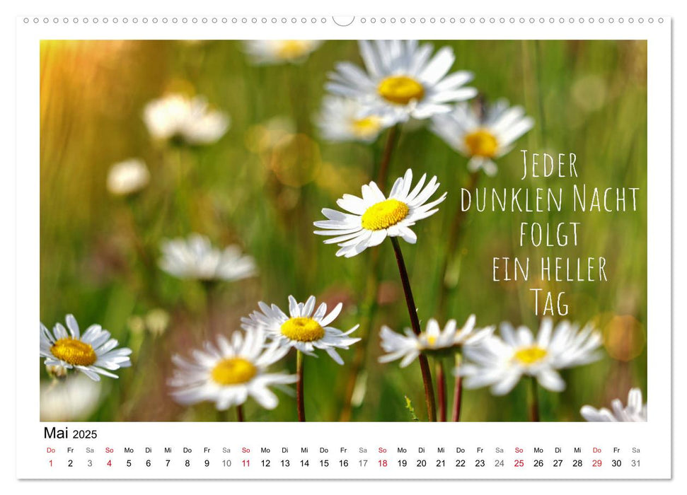 Weiße Blüten, weise Worte (CALVENDO Premium Wandkalender 2025)