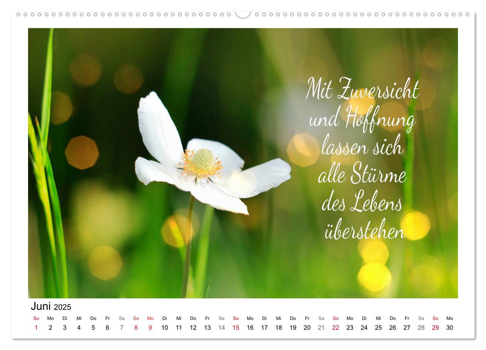 Weiße Blüten, weise Worte (CALVENDO Premium Wandkalender 2025)