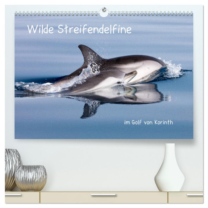 Wilde Streifendelfine im Golf von Korinth (CALVENDO Premium Wandkalender 2025)