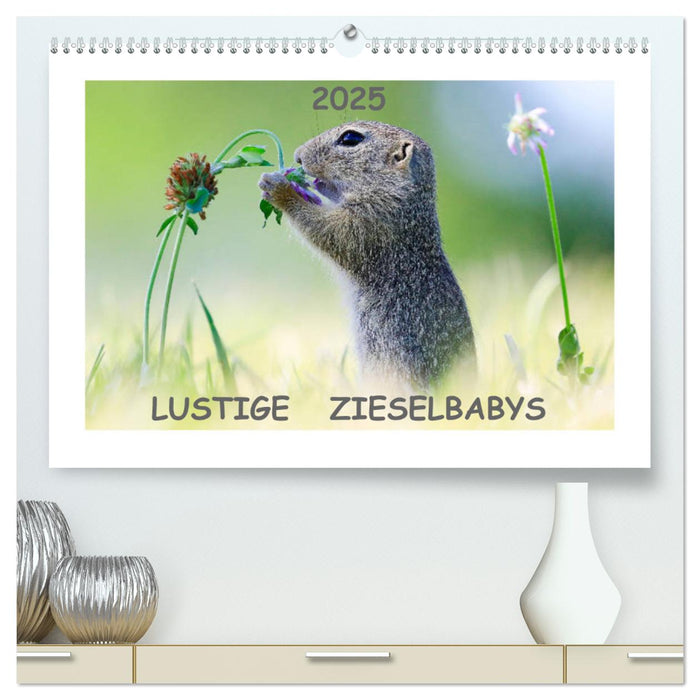 Lustige Zieselbabys (CALVENDO Premium Wandkalender 2025)