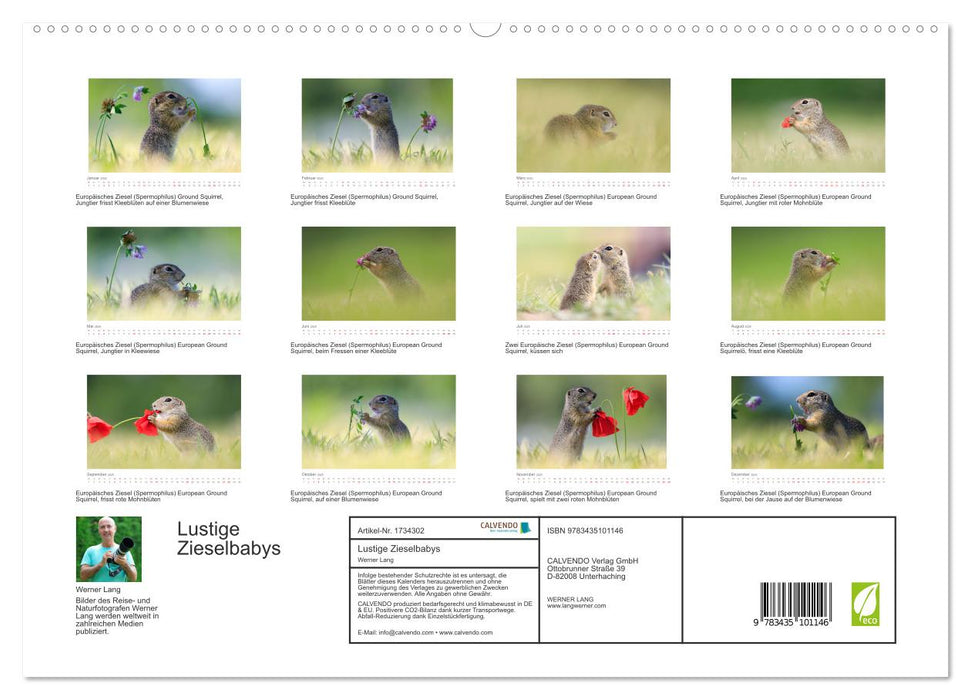 Lustige Zieselbabys (CALVENDO Premium Wandkalender 2025)