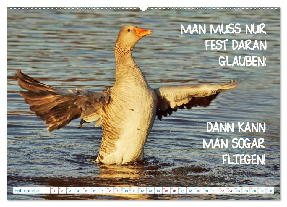 Humorvolles aus der Tierwelt (CALVENDO Premium Wandkalender 2025)