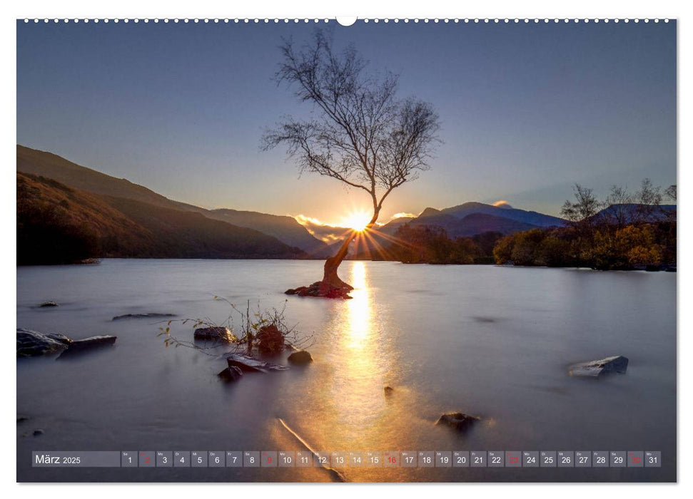 Wildes Wales (CALVENDO Premium Wandkalender 2025)