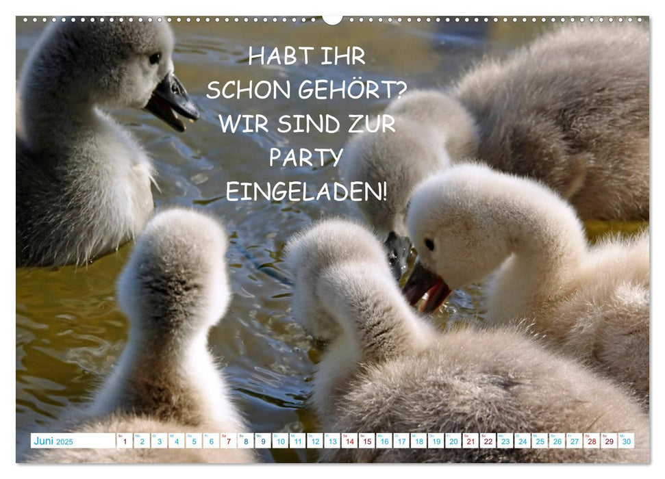 Freude und Spaß an Tierfotos (CALVENDO Premium Wandkalender 2025)