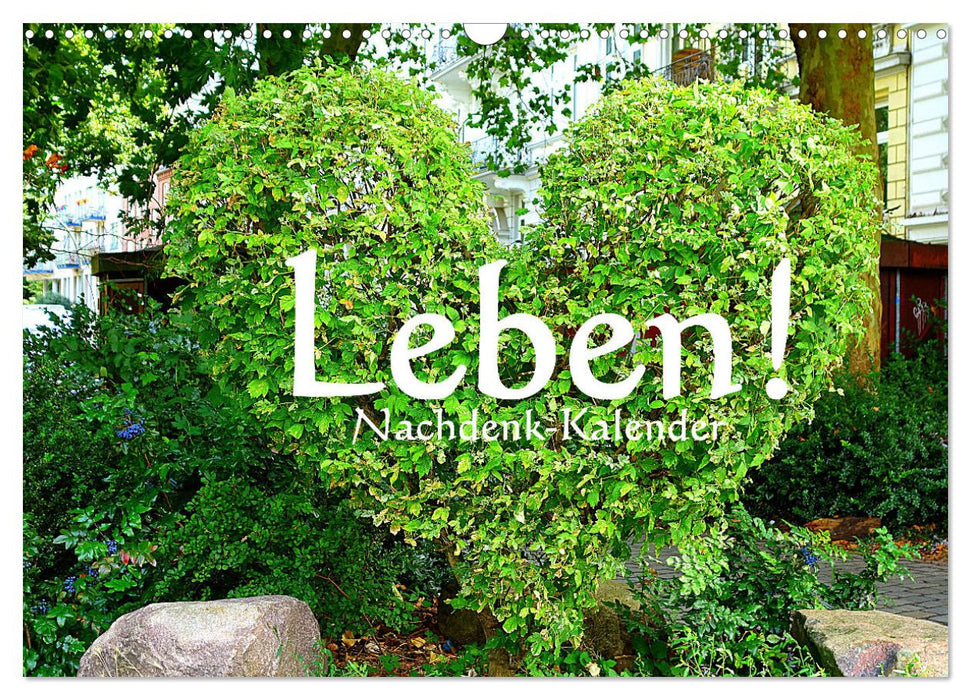 Leben! - Nachdenk-Kalender (CALVENDO Wandkalender 2025)