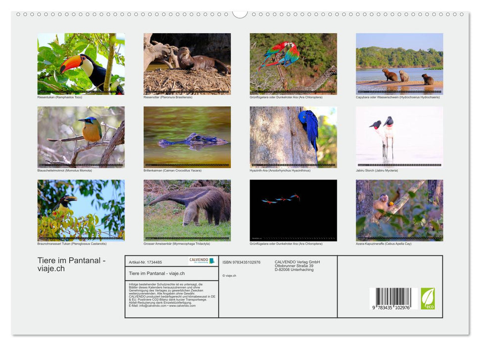 Tiere im Pantanal - viaje.ch (CALVENDO Premium Wandkalender 2025)