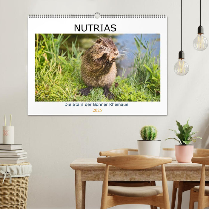 NUTRIAS - Die Stars der Bonner Rheinaue (CALVENDO Wandkalender 2025)