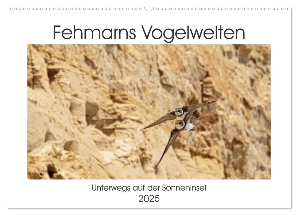 Fehmarn Vogelwelten (CALVENDO Wandkalender 2025)