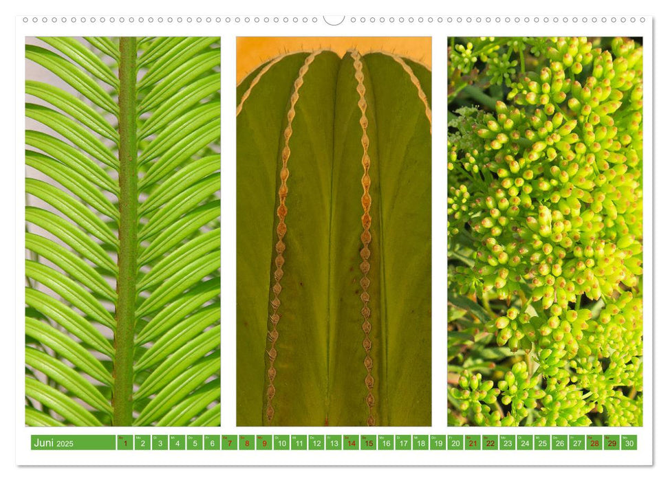 Farbenfrohes aus aller Welt (CALVENDO Wandkalender 2025)