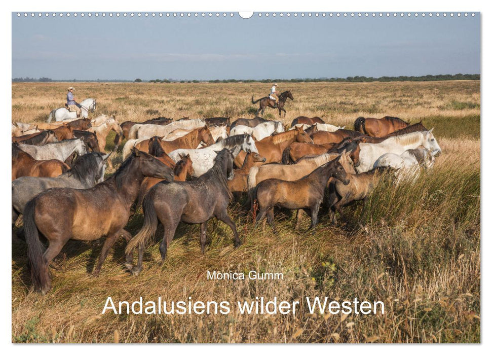 Pferde - Andalusiens wilder Westen (CALVENDO Wandkalender 2025)