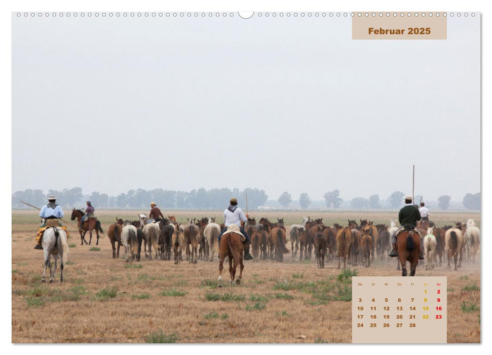 Pferde - Andalusiens wilder Westen (CALVENDO Wandkalender 2025)