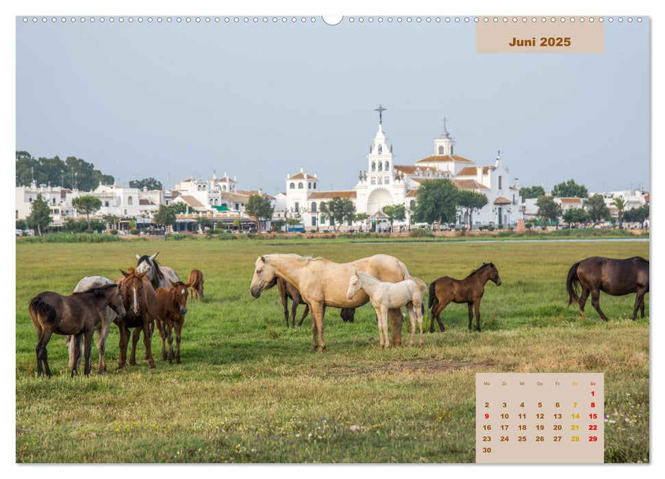 Pferde - Andalusiens wilder Westen (CALVENDO Wandkalender 2025)