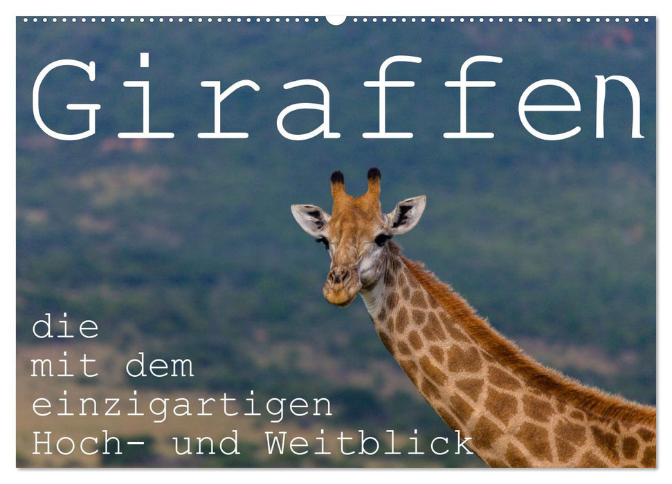 Giraffen - Tiere mit dem einzigartigen Hoch- und Weitblick (CALVENDO Wandkalender 2025)