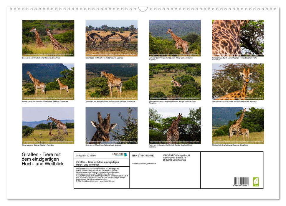 Giraffen - Tiere mit dem einzigartigen Hoch- und Weitblick (CALVENDO Wandkalender 2025)