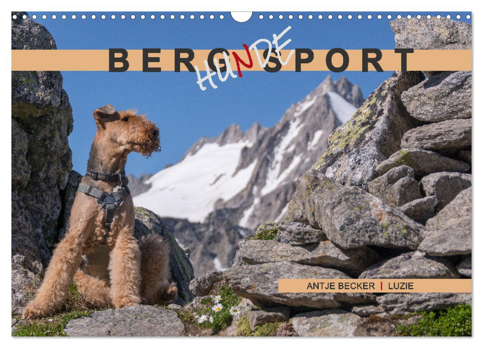 Berg-Hunde-Sport (CALVENDO Wandkalender 2025)