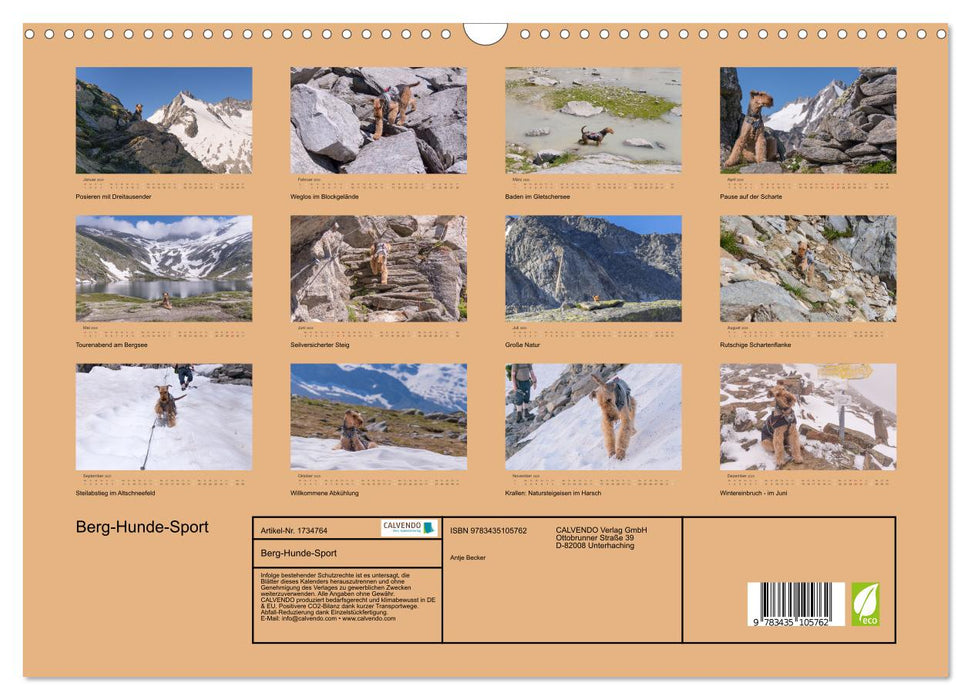 Berg-Hunde-Sport (CALVENDO Wandkalender 2025)