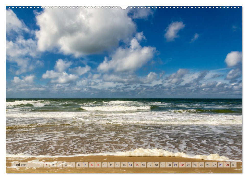 Texel - Kleine Insel, große Vielfalt (CALVENDO Wandkalender 2025)