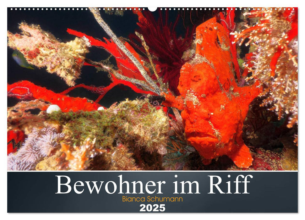 Bewohner im Riff (CALVENDO Wandkalender 2025)