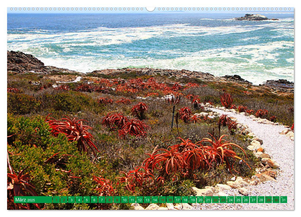 Unterwegs in Südafrika- von Kapstadt ins Richtersveld (CALVENDO Wandkalender 2025)