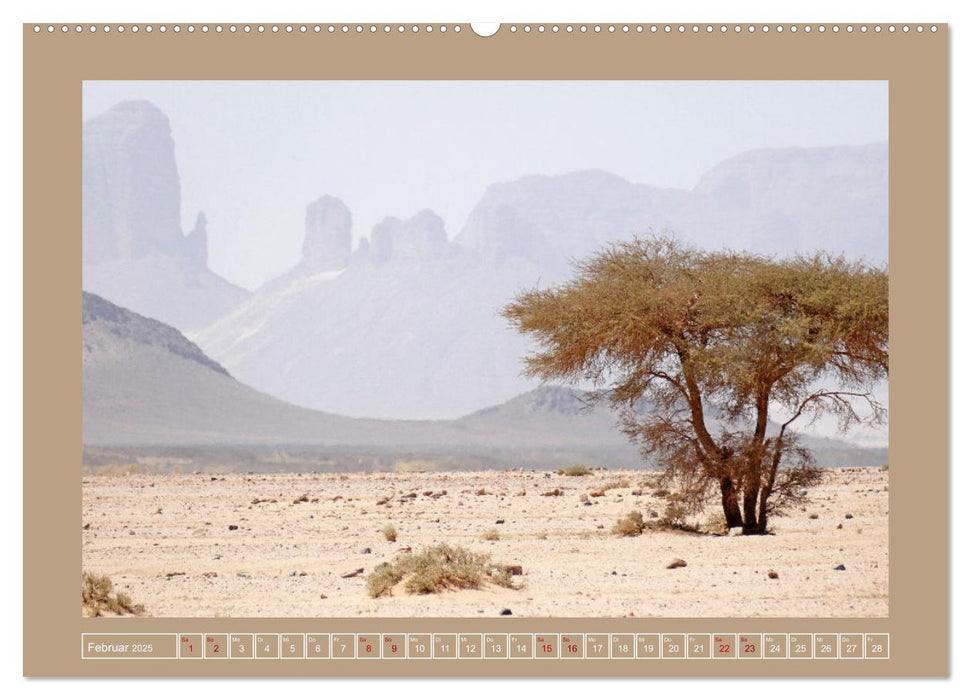 Algerien - Schluchten und Sandberge in den Tassilis (CALVENDO Wandkalender 2025)