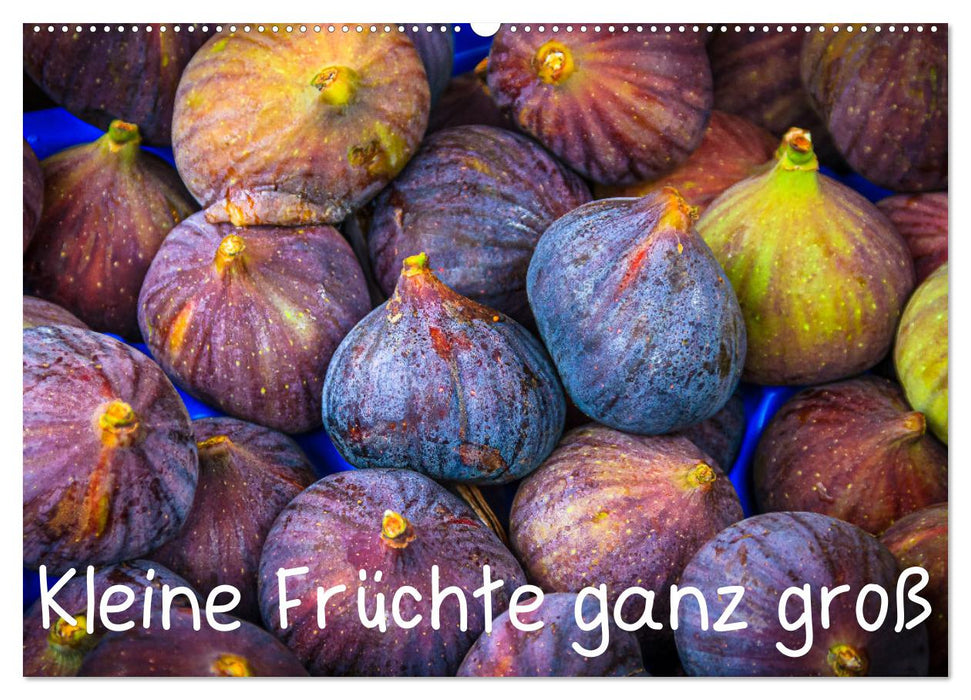 Kleine Früchte ganz groß (CALVENDO Wandkalender 2025)