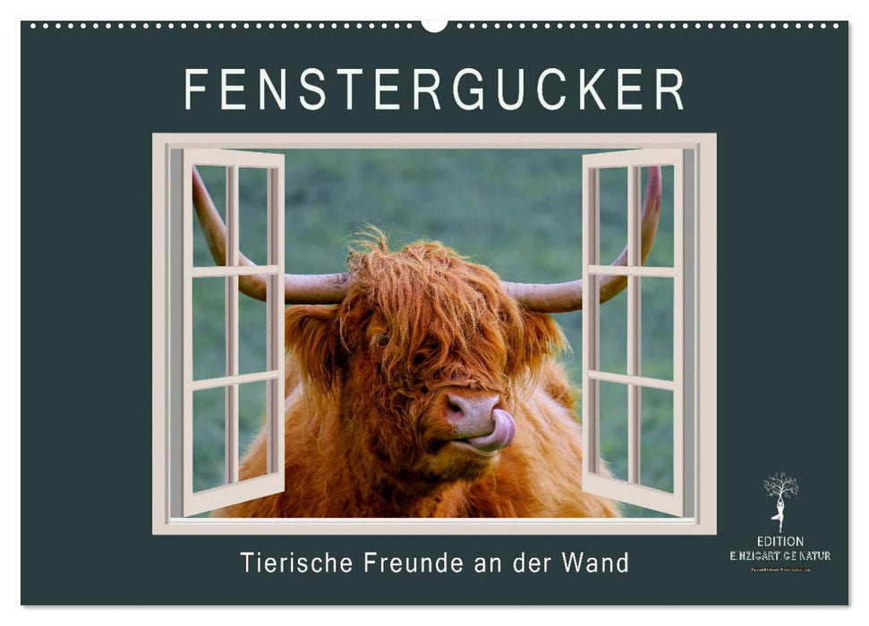 Fenstergucker - tierische Freunde an der Wand (CALVENDO Wandkalender 2025)