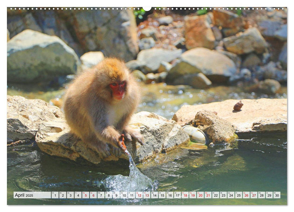 Japan, das Land der aufgehenden Sonne (CALVENDO Wandkalender 2025)