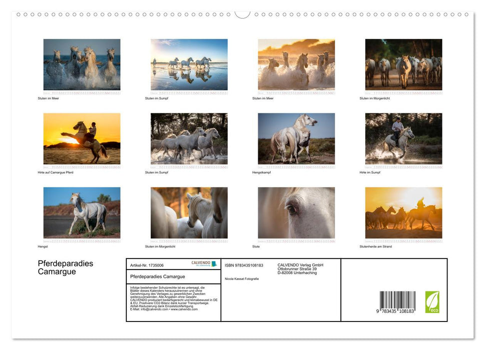 Pferdeparadies Camargue (CALVENDO Wandkalender 2025)