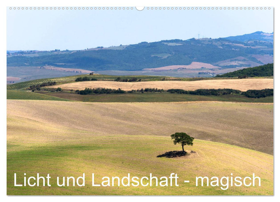 Licht und Landschaft - magisch! (CALVENDO Wandkalender 2025)