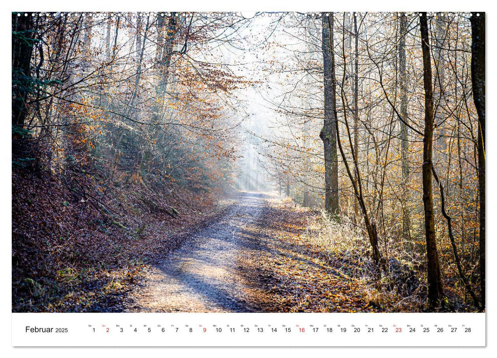 Licht und Landschaft - magisch! (CALVENDO Wandkalender 2025)