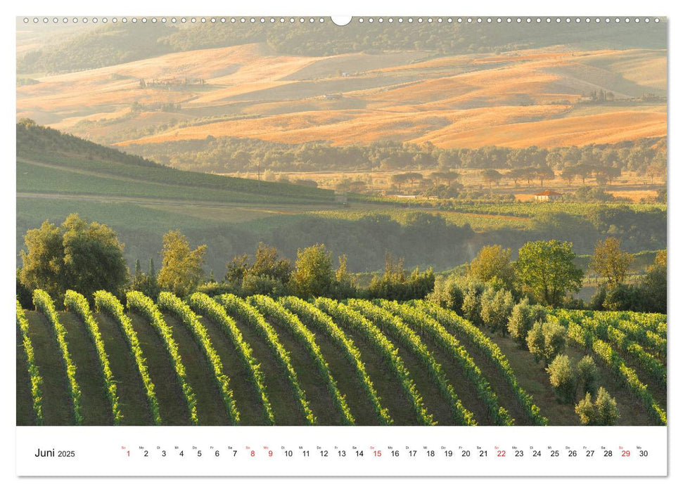 Licht und Landschaft - magisch! (CALVENDO Wandkalender 2025)