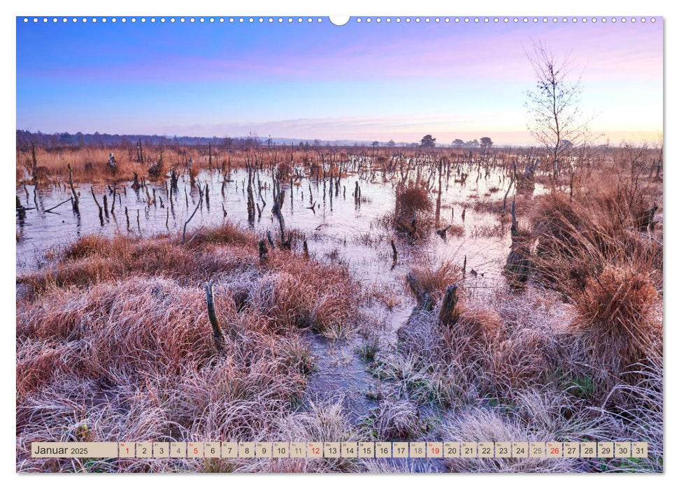 Deutschlands Moore (CALVENDO Wandkalender 2025)