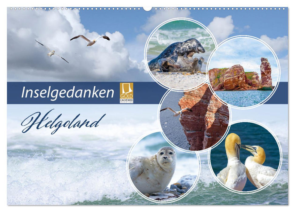 Insel Gedanken (CALVENDO Wandkalender 2025)