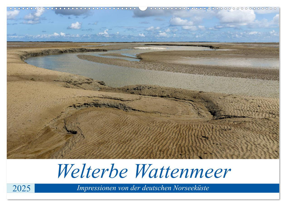 Welterbe Wattenmeer (CALVENDO Wandkalender 2025)